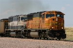 BNSF 9999